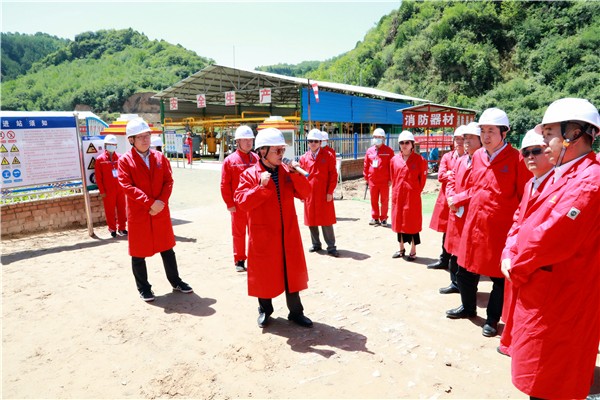 uwin电竞集团复工复产促增添项目观摩聚会与会职员走进环保保隆生态三秦在延在铜项目