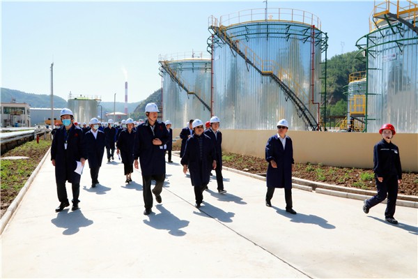 uwin电竞集团复工复产促增添项目观摩聚会与会职员走进环保保隆生态三秦在延在铜项目