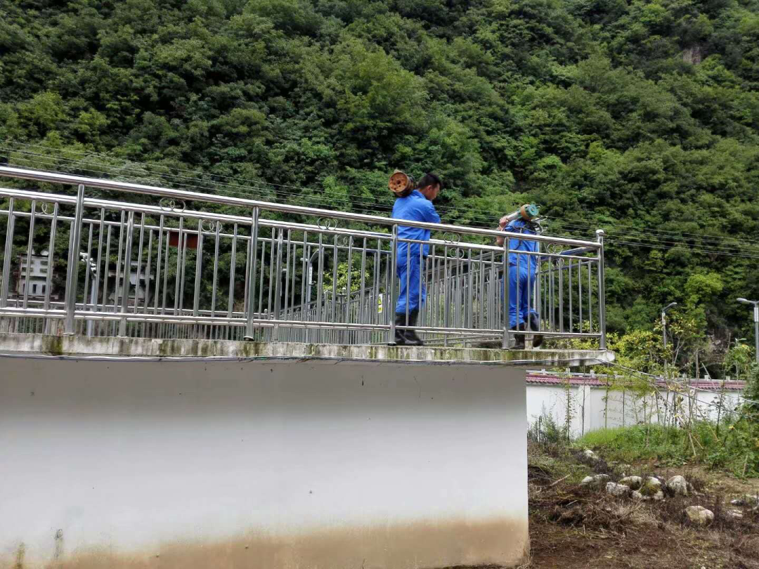 这个端午节，，，，，，水情形人这么过（二）