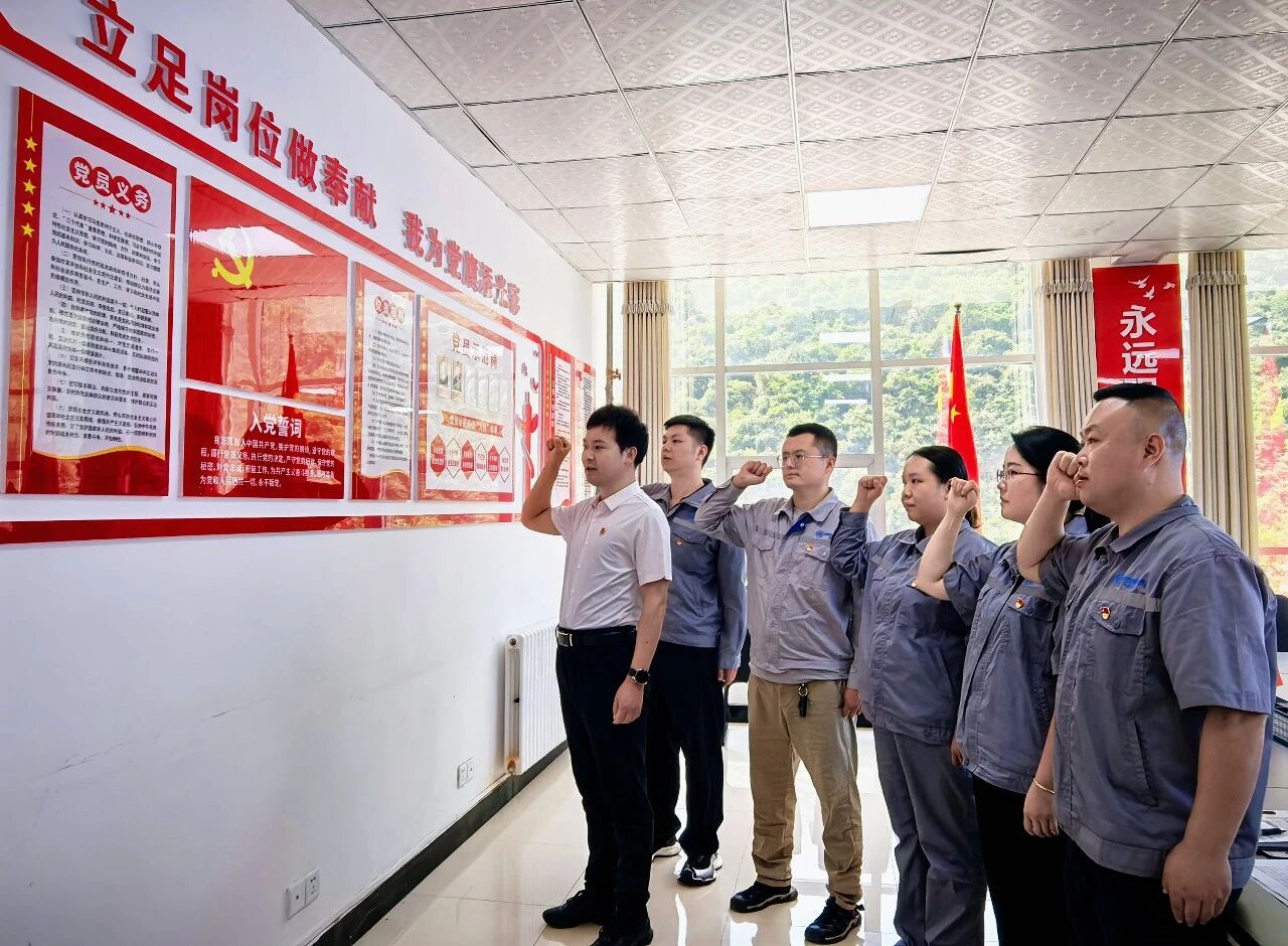 水情形公司陕南片区联合党支部开展主题党日暨专题党课活动 水情形公司陕南片区联合党支部开展主题党日暨专题党课活动